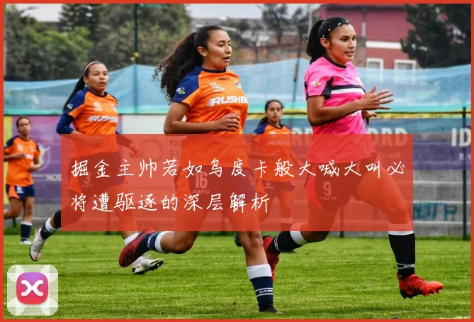 掘金主帅若如乌度卡般大喊大叫必将遭驱逐的深层解析