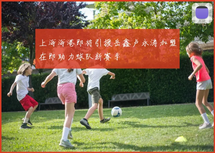 上海海港即将引援岳鑫卢永涛加盟在即助力球队新赛季