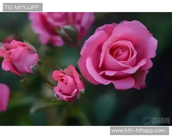 吾米提江的母亲深情寄语：儿子你是我心中的骄傲永远支持你勇往直前！